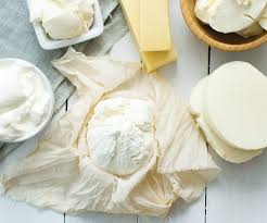 leuconostoc mesenteroides8