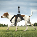 Band Strap Holder Belt Gimbal Camera Pet Dog Chest for DJI OSMO POCKET & GOPRO