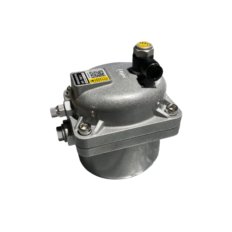 Automatic drain valve