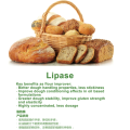 Food grade baking enzyme industrial lipase for flour