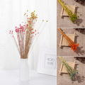 50PCS Colorful Natural Dried Flowers Kawaii Real Flower Bouquets Plant Stems Shooting Props Home Decoration Wedding Party Craft