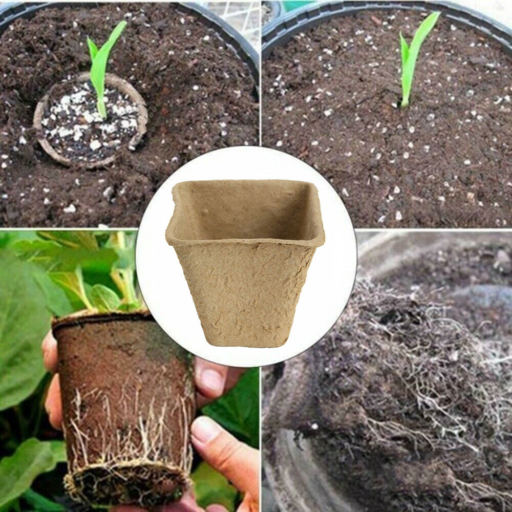 50pcs/set Square Seed Nursery Pots Plant Starter Peat Flower Vegetable Seedlings Nursery Cup Paper Trays Garden Supplies 6CM 8CM