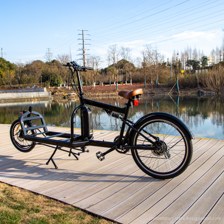 cargo with battery bike for family ebike online