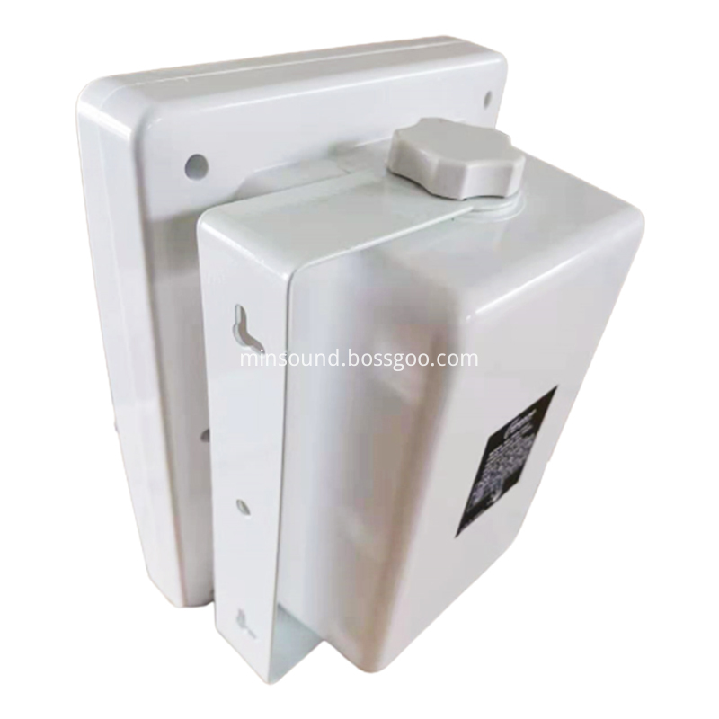 Pa Wall Loudspeaker