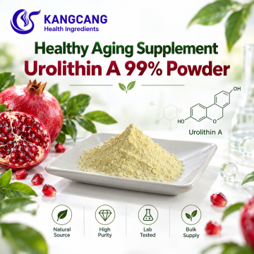 Pomegranate Extract Urolithin A 99% Powder