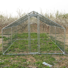 China Manufacturer Of Chicken Coop Chicken Run Chicken Cage