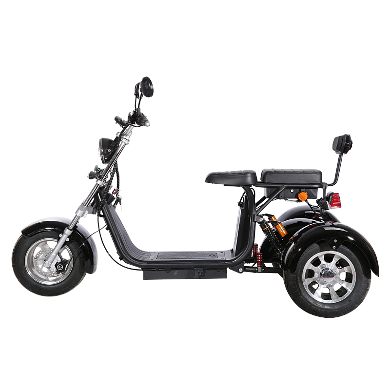 3 Wheel Citycoco Electric Motorcycle Electric Tricycles Adult Icluding EU Customs No Taxes 60V 20ah Removable Lithium Battery
