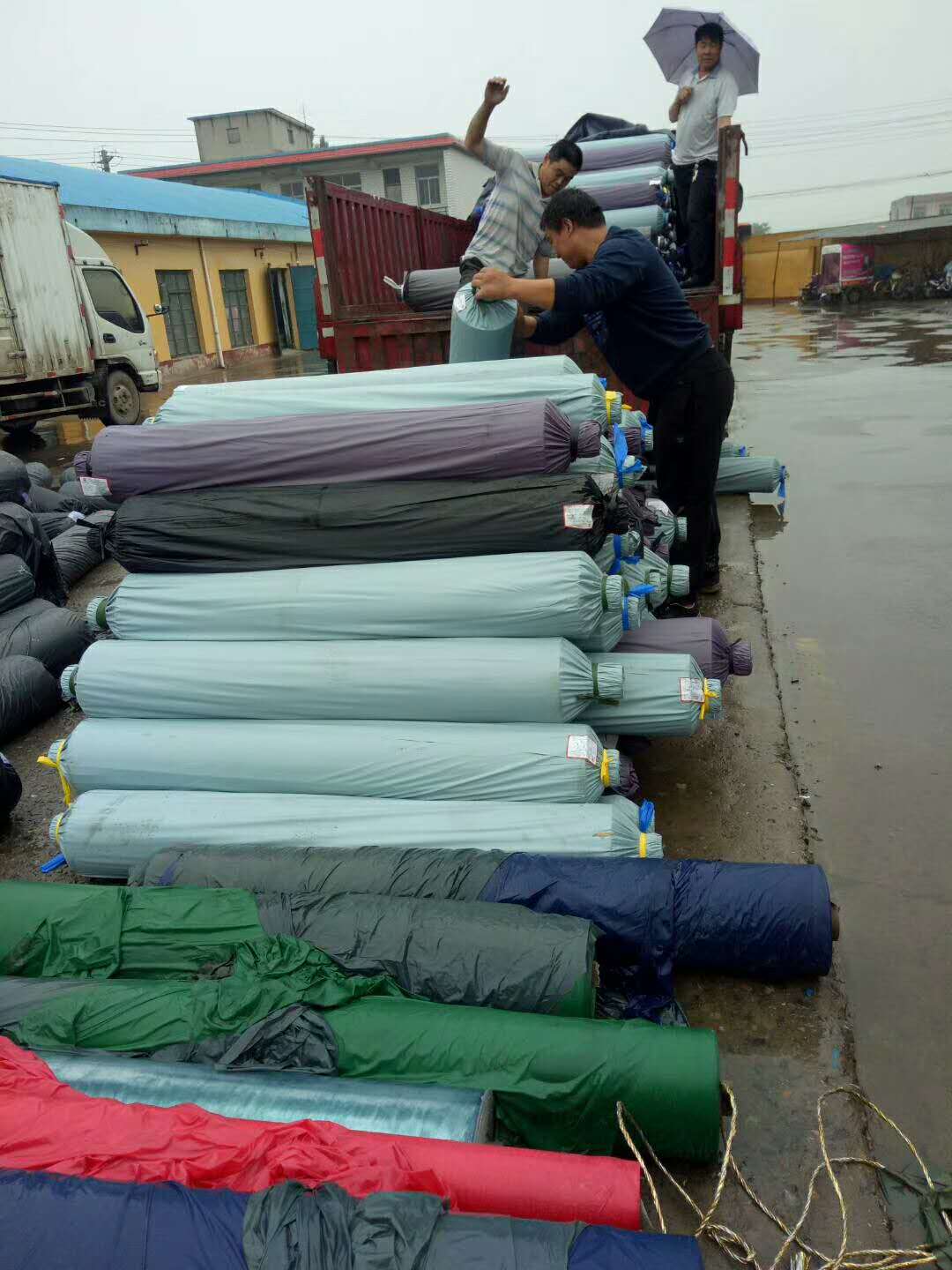 871371158325788584 871371158325788584