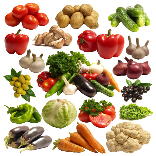 Commerical Konjac Washing and Drying Machine for Sale, Commerical Konjac Washing and Drying Machine wholesale From China