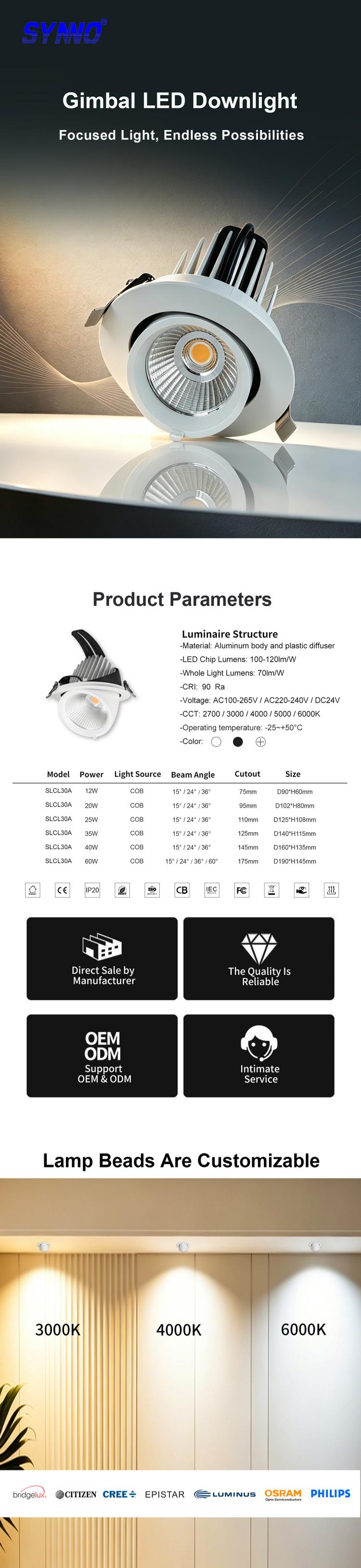 Recessed Gimbal LED Downlight