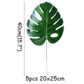 5pcs Palm Leaves