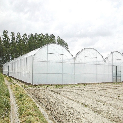 Skyplant Large Multi Span Greenhouse for Agriculture Manufacturers and Skyplant Large Multi Span Greenhouse for Agriculture Suppliers