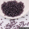 508 Bean Purple