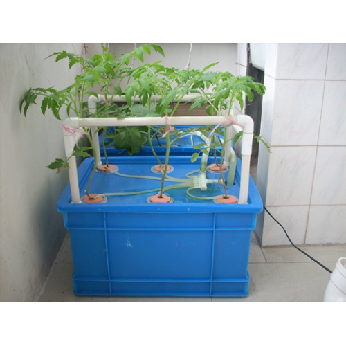 Home Hydroponic System For Growing Strawberry Manufacturers and Home Hydroponic System For Growing Strawberry Suppliers