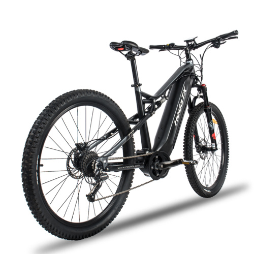 Aldult Electric Mountain Bike Manufacturer Aldult Electric Mountain Bike from China