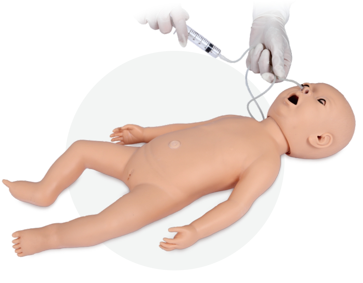 Infant gastric tube model
