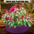 10/30 Gallon Fabric Grow Bags Breathable Pots Planter Root Pouchs Container Plant Smart Pots Garden Supplies