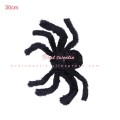 30cm black spider