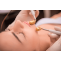 Choicy Academy Electrical Therapy Beauty Training Online