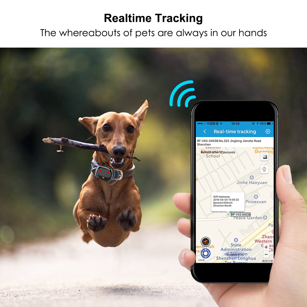 4G Dog GPS Pet Tracker Pet Dog Tracker Waterproof Voice Monitor Tracker Sports Step Real-time WiFi Tracking GPS For Cat Free APP