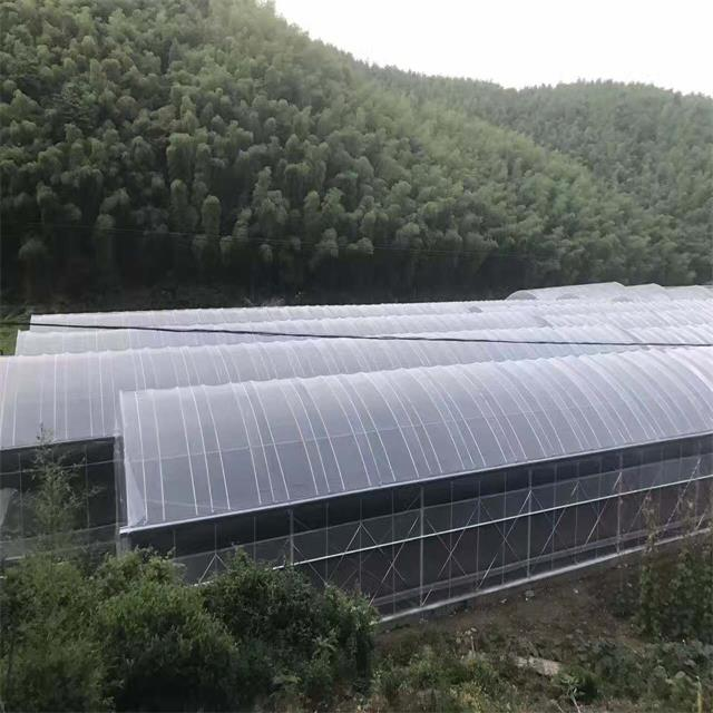 Multi-span Plastic Film Greenhouse Hydroponic Greenhouse