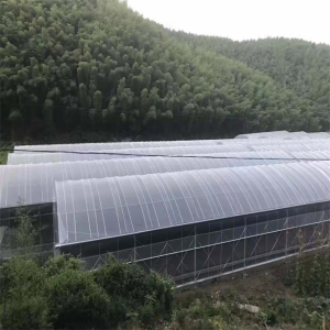 Plastic PE Film Greenhouse