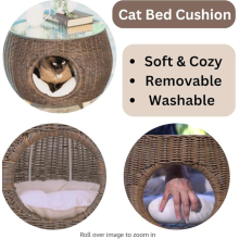 2-in1 Cat Condo Side Table
