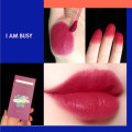 20PC/Set Lipstick Tobacco Box 5 Color Cotton Swab Lip Gloss Moisturizing Long Lasting Liquid Lipstick Cherry Orange Red Lip Tint