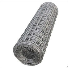 Stainless Steel Wire Mesh rolls