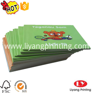 რბილი წიგნი softcover book