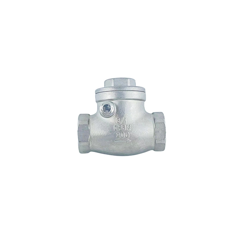 Swing Check Valve (1)