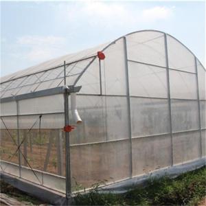 Galvanized Frame Single span PE Film greenhouse