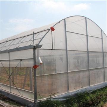 Professional Agriculture intelligent film greenhouse