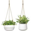https://www.bossgoo.com/product-detail/set-of-2-plant-pot-with-62359047.html