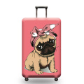 A     Luggage cover