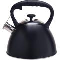 Stainless Steel Tea Kettle With Black Coating