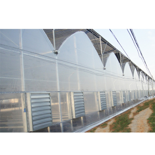 Agricultural intelligent film multi span tomato greenhouse Manufacturers and Agricultural intelligent film multi span tomato greenhouse Suppliers