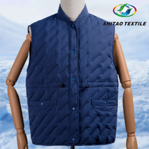 Shuttle‑Pattern Woven Direct‑Fill Down Channel Fabric