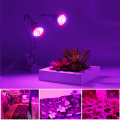 220V E27 Full Spectrum Grow Light for Plants 10W 20W 30W 60W Bulb with Flexible Metal Hose Base Clip UV Phytolamp for Seeds