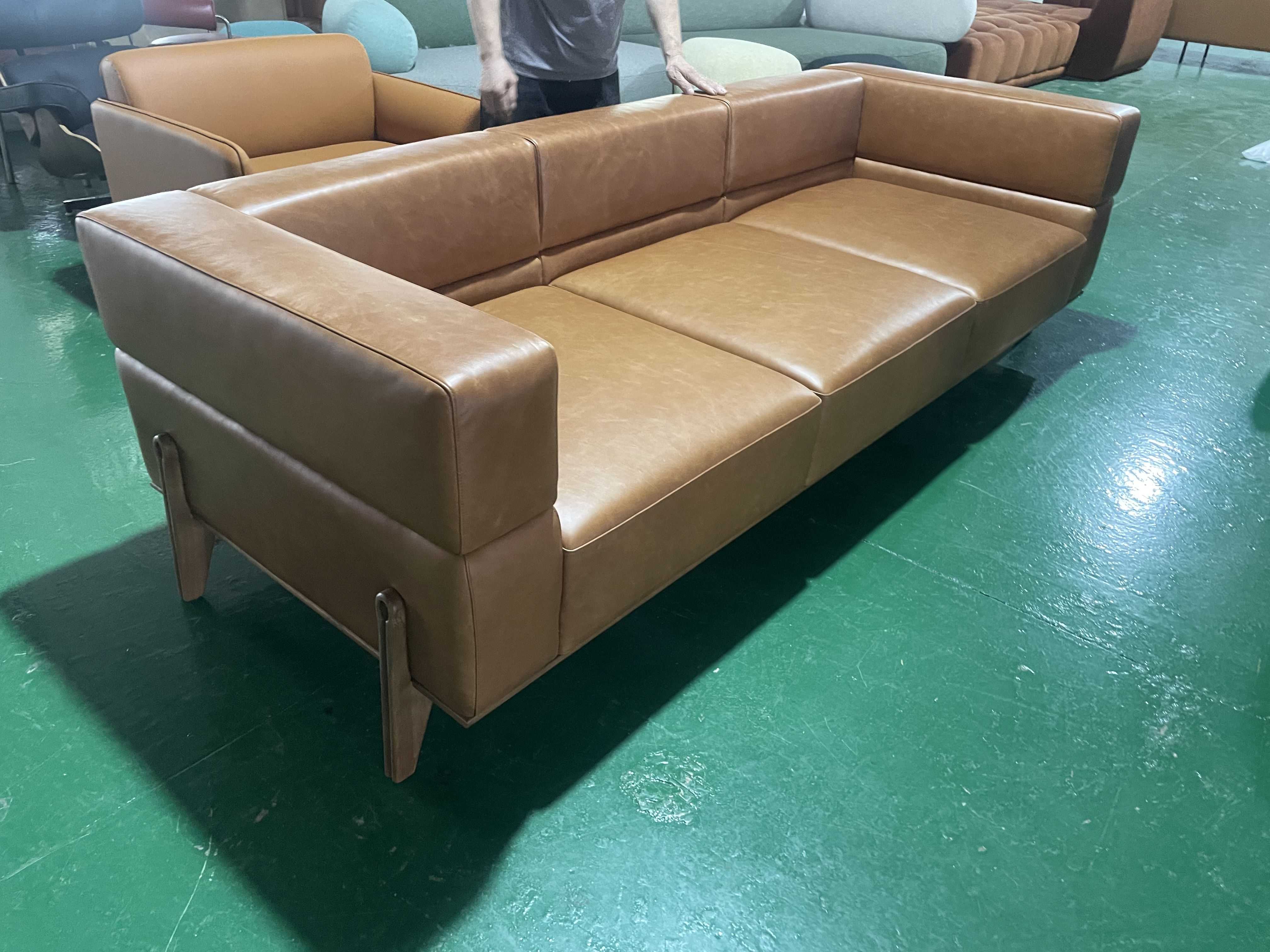 living room sofa-4 (3)