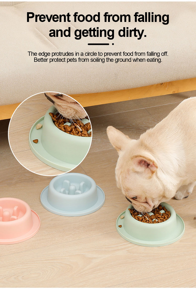 Pet Bowl Display Jpg