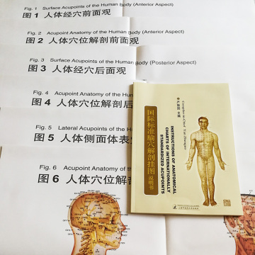 6Pcs/set Bilingual Acupoint Charts & Instructions of Anatomical Charts of Internationally Standardized Acupoints Book