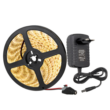 Waterproof 5M/roll SMD 5630 LED Strip light 60Led/M Flexible led tape 12V2A power adapter DC male outdoor garden