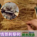 Scene architectural model sand vegetation thorns quinoa military scene DIY production materials