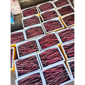 Premium Gift Purple Jade Carrot