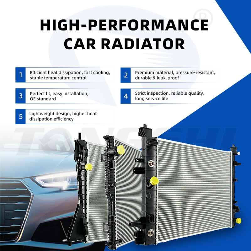 Radiator Detail Page 1