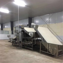 Automatic Shrimp Cleaning And Grading Machine