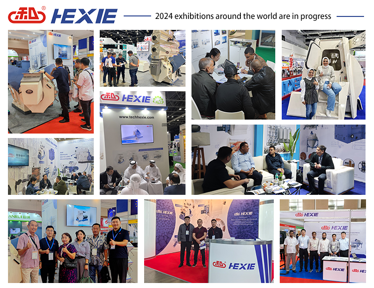 hexie04new2024