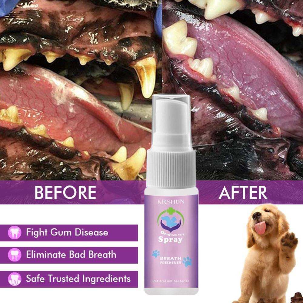 30ml Dental Pet Spray Dog Breath Freshener Teeth Cleaner for Cat and Dog Fresh Breath Supplies