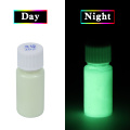 20g Acrylic Paint Leaf Green Glow in the Dark Luminous Paint Shining for DIY Home Party Decoration Phosphor Pigment